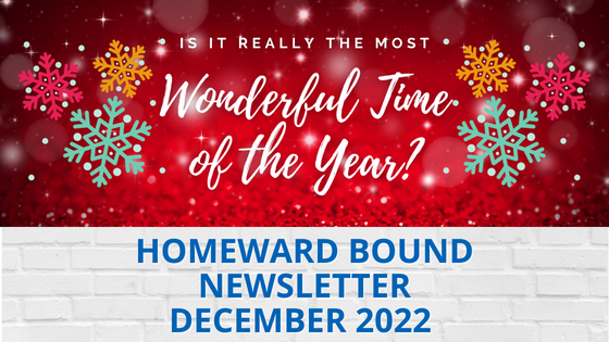 HomeWard Bound December 2022